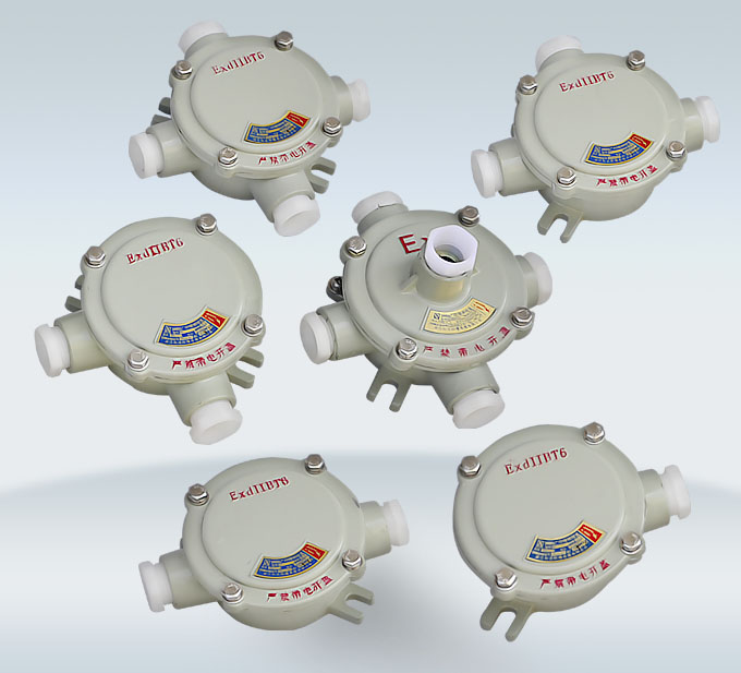 BHD51-G1/2防爆接線盒